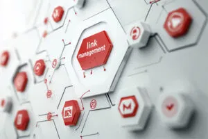 qu est ce que le link management